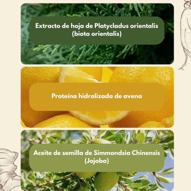 Bellaria - Champú Tratamiento Anticaída REMIMPI