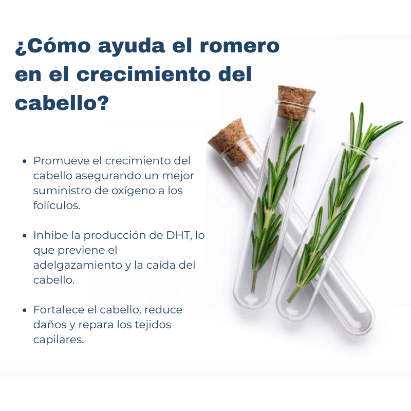 Bellaria - Sérum Avanzado Roll-On para el Crecimiento del Cabello Be Bodywise