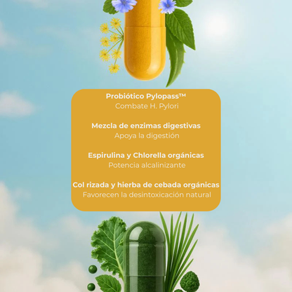 Bellaria - Salud Intestinal + Espirulina & Chlorella (Pack Salud Intestinal)