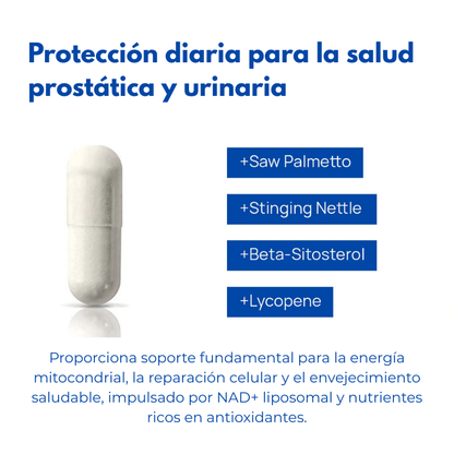 Bellaria - Selerb Suplemento de NAD+